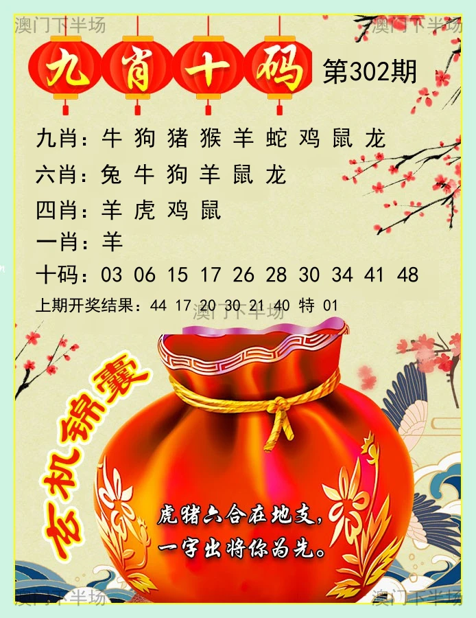 九肖十码