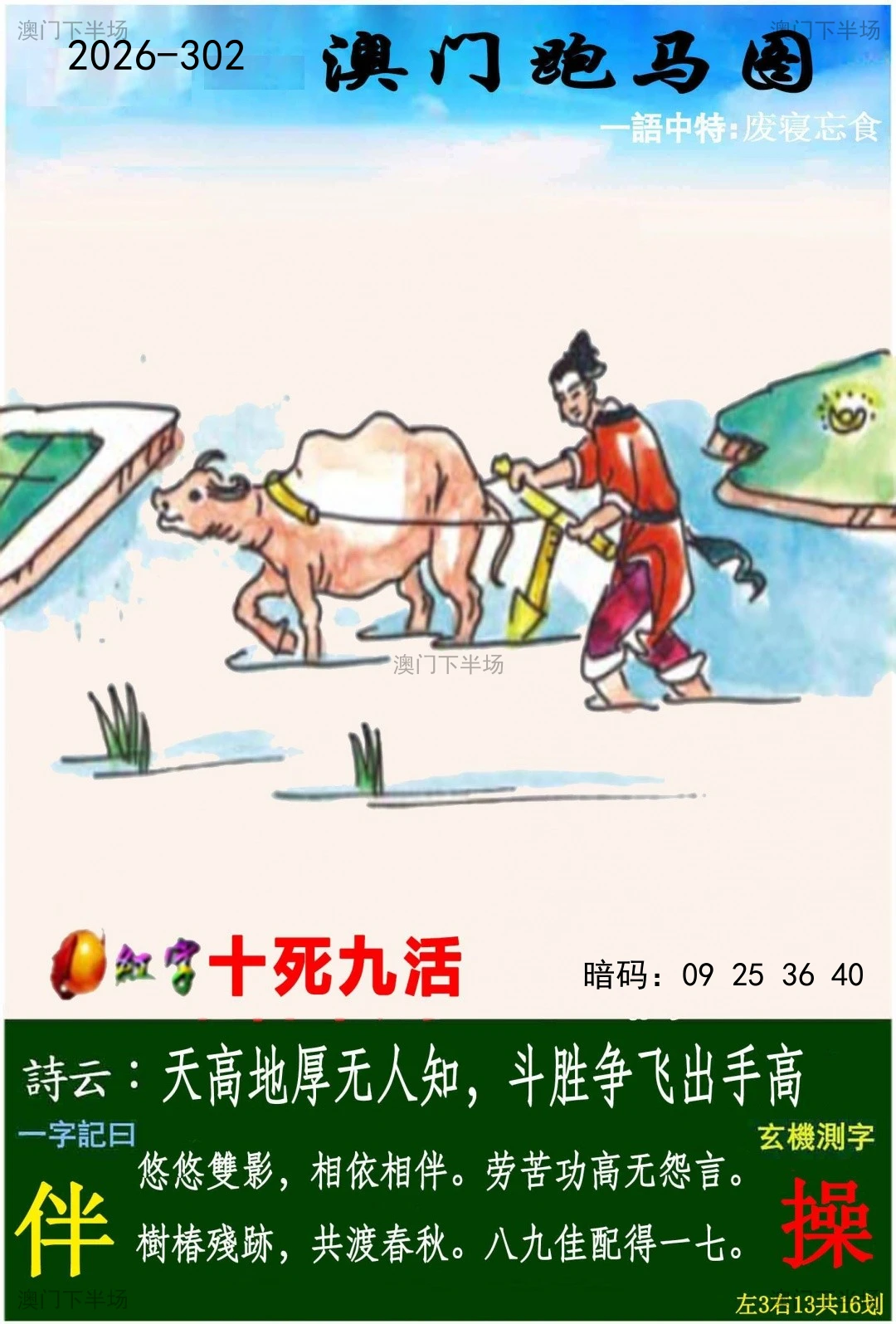 跑马图